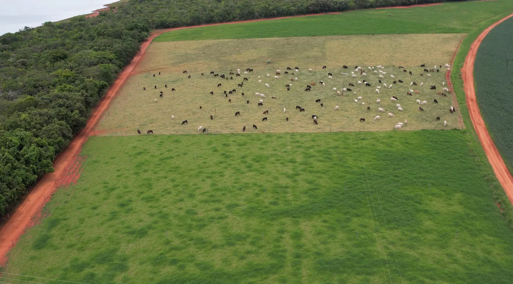 Do alto, o pasto verde irrigado ao lado de área seca de terra vermelha